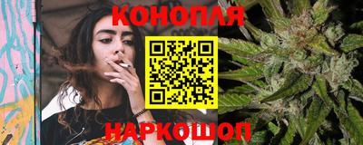 шишки Ачхой-Мартан