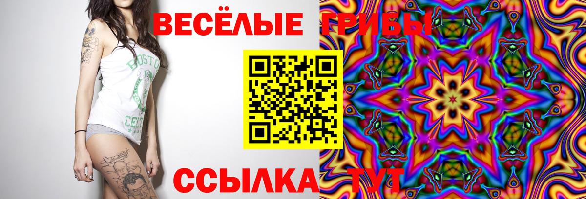 Псков  Галлюциногенные грибы Magic Shrooms  Псилоцибиновые грибы мицелий  Вход с VPN 